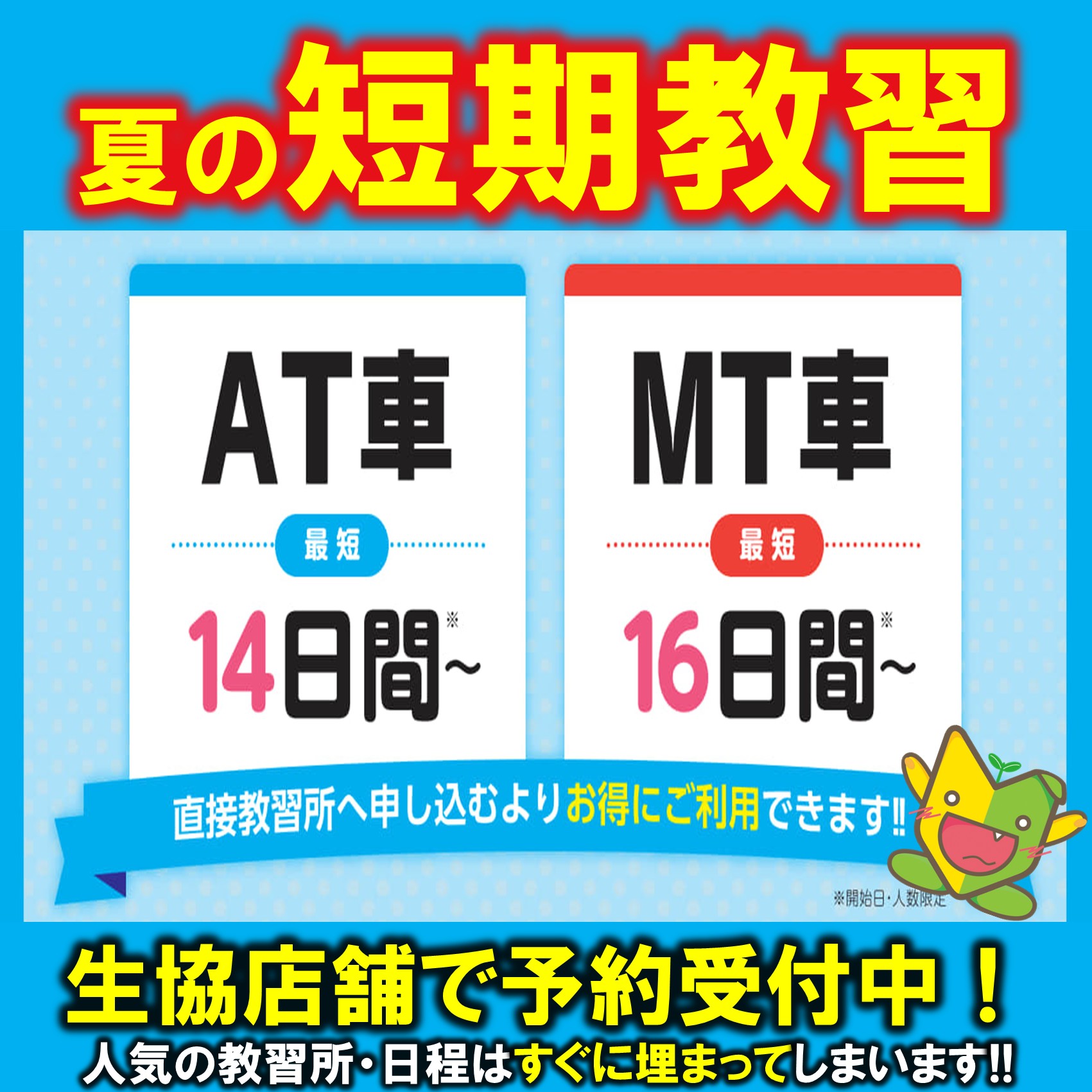 夏の短期教習